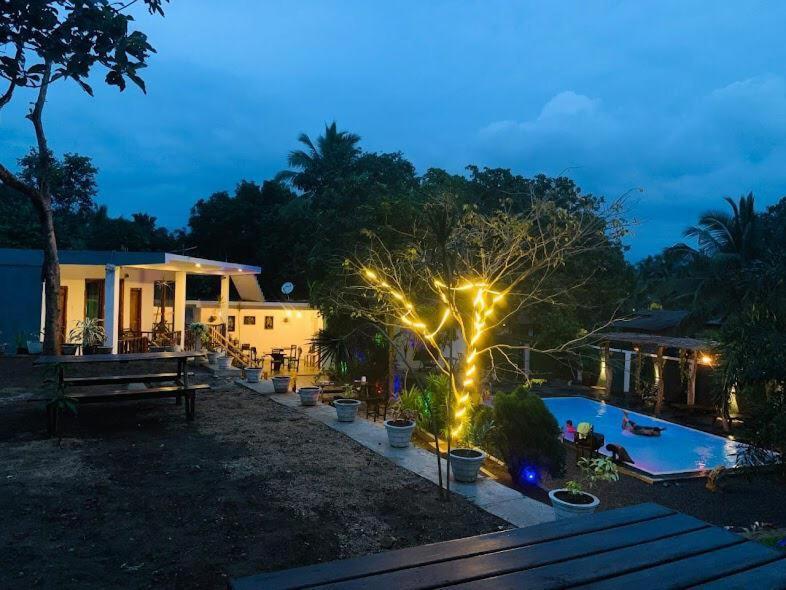 Lily Resort Udawalawe Exterior foto