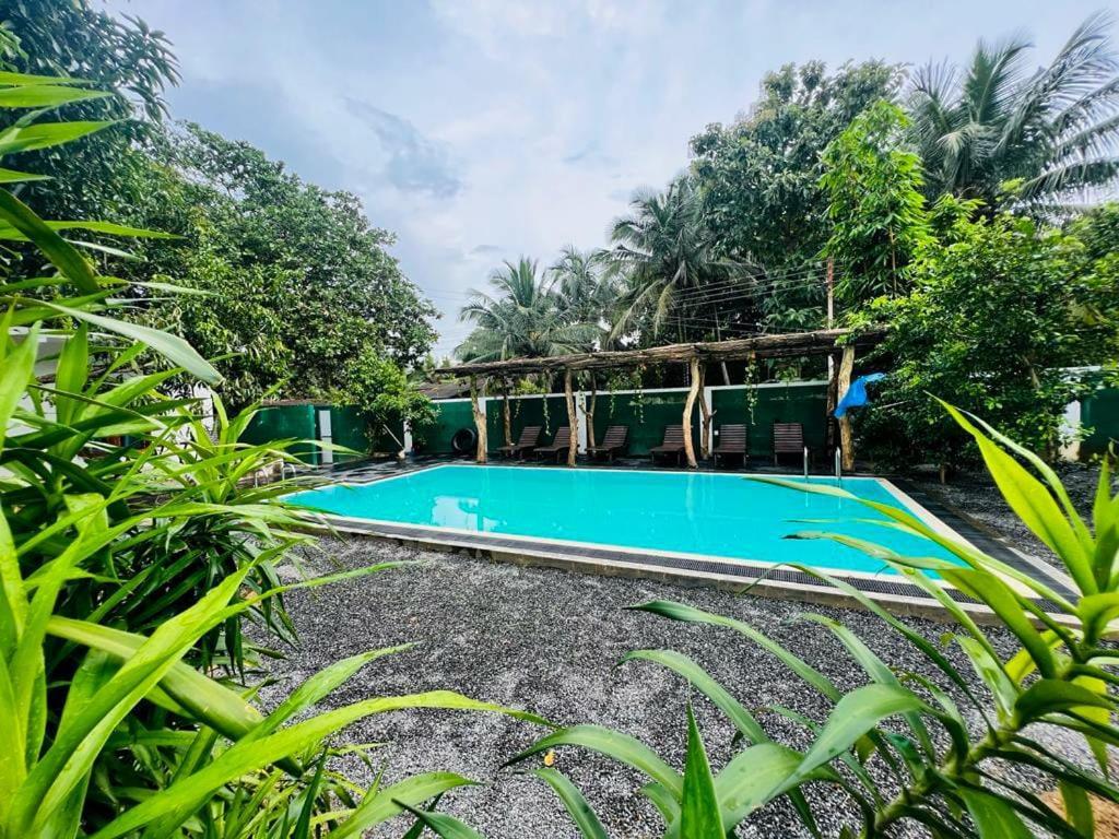 Lily Resort Udawalawe Exterior foto